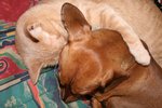 IMG_5675.JPG