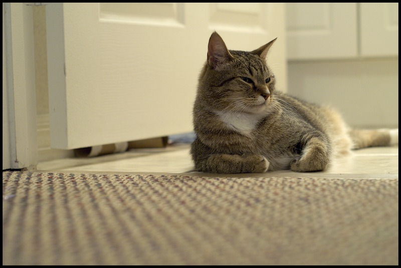Resting