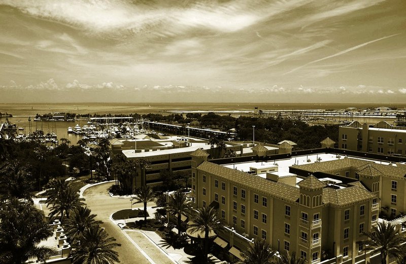 The Harbor II
