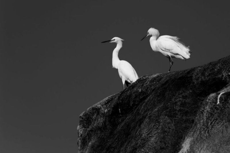 Cliff Hangers