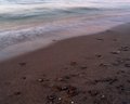 Wave