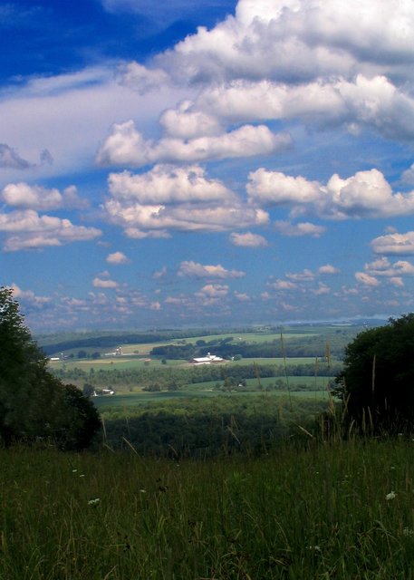Top of the Hill