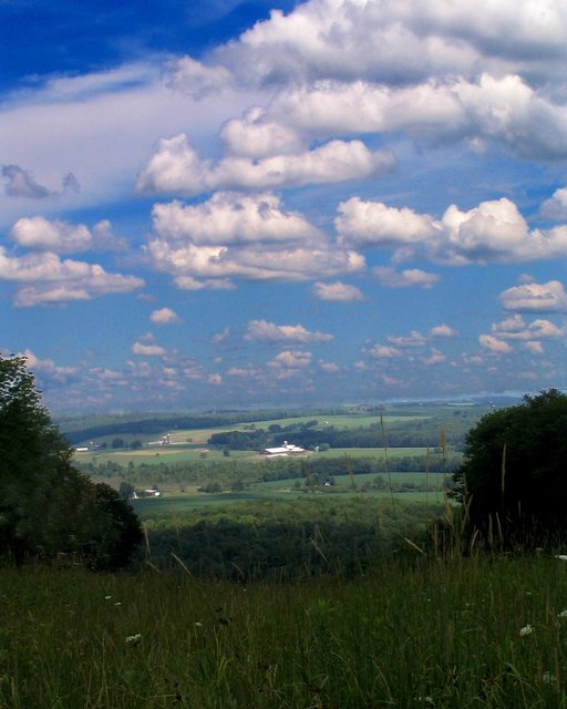 Top of the Hill