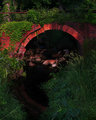 Bridge over dirty water