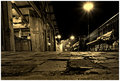 IMG_7068savannahground.jpg