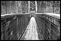 The Bridge to Blur