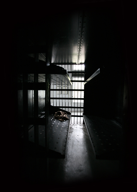 The cell