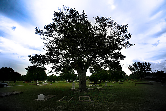 The graveyard