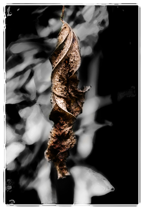 Fall