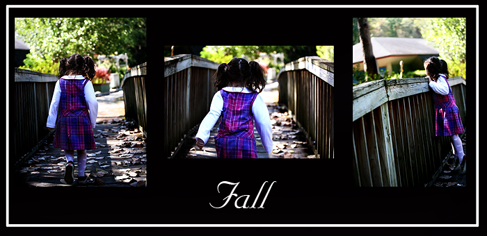 Fall