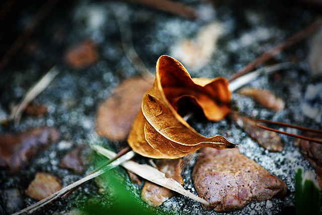 I heard a leaf of my life hit the ground....