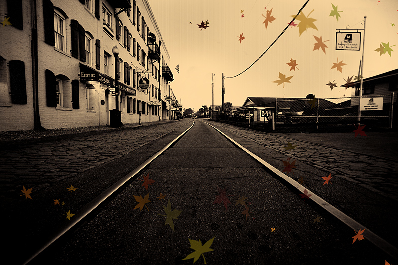Autumn