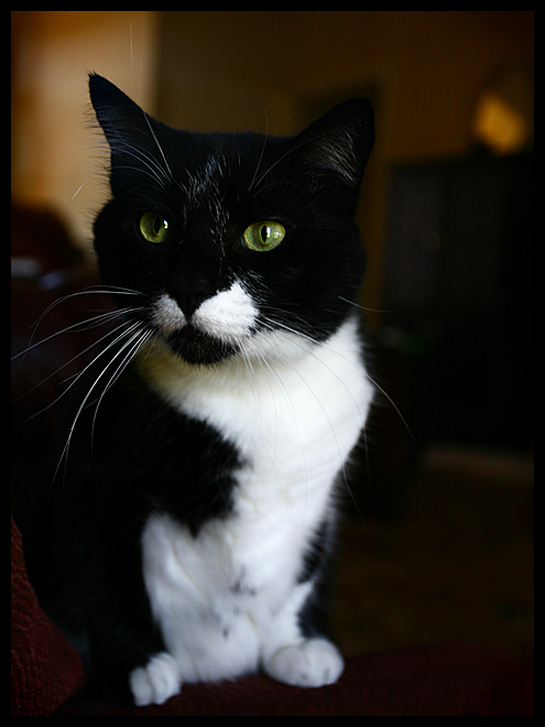 Max
