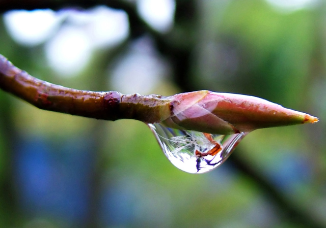 wet-sunday.jpg