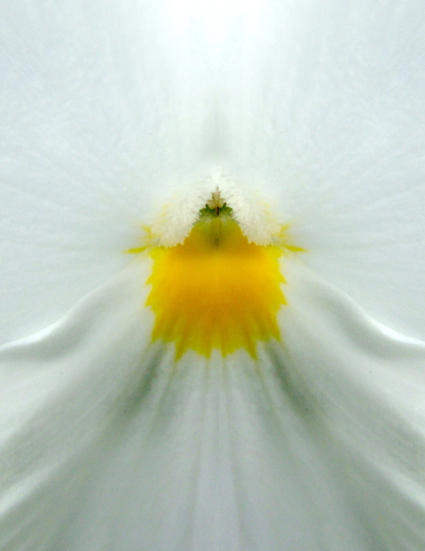 spring-bride.jpg