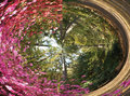 Circle Flowers