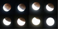 Lunar Eclipse Cycle