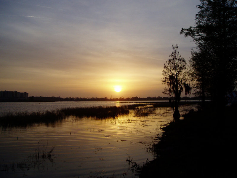 Orlando Sunrise