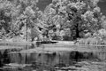 Haig\'s-lagoon2.jpg