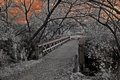 Bridge-too-far.2.jpg