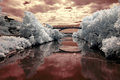 don-river.jpg