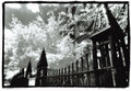 Row-of-crosses.jpg