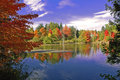 autumn5.jpg