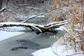 creek-in-winter.jpg