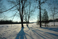 snow-and-shadows.jpg