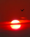 fireball