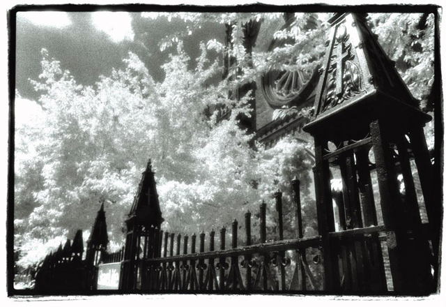 Row-of-crosses.jpg