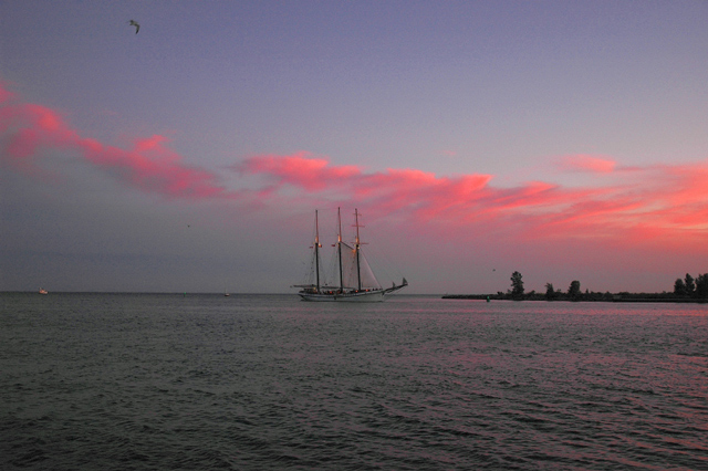 Empire-Sandy-coming-home.jpg