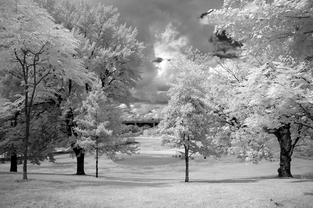 Park-in-IR.jpg