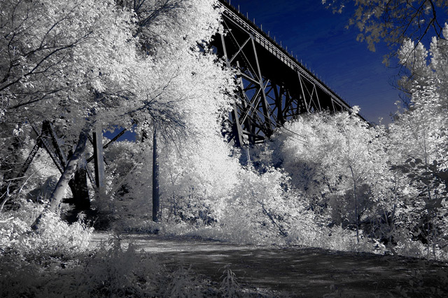 Bridge-in-the-park.jpg
