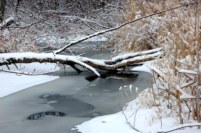 creek-in-winter.jpg