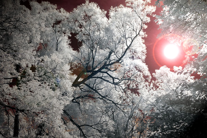 Heat-in-IR.jpg