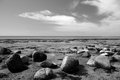 Playa Elegante