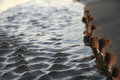 Ripples