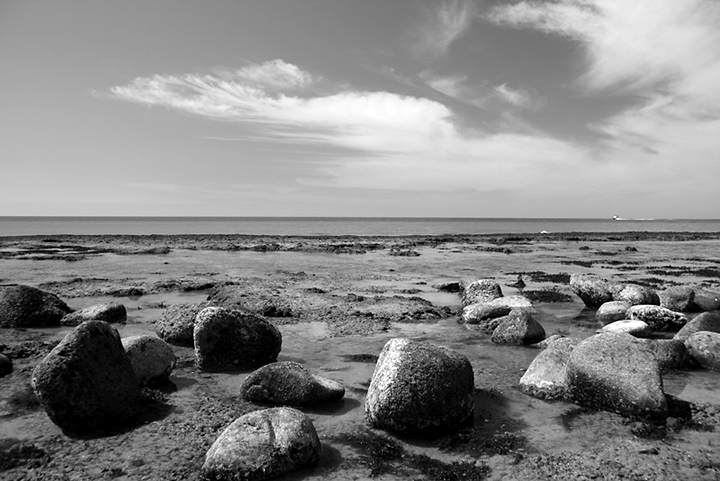 Playa Elegante