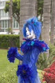 ax04_blue.jpg