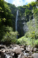 maui_21.jpg