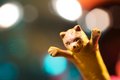 Cat-a-pult Ammo