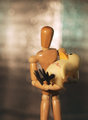 Wounded Duck