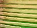 cd stack