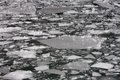 Day 9 - Just the Ice