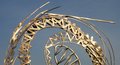 Crazy Spiral