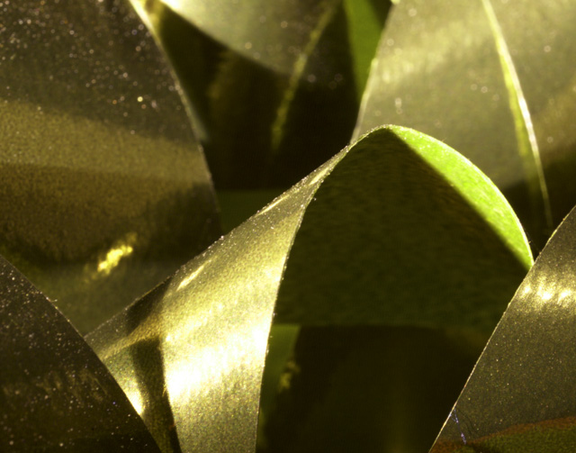 ribbon
