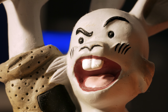 usagi