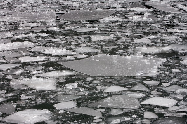 Day 9 - Just the Ice