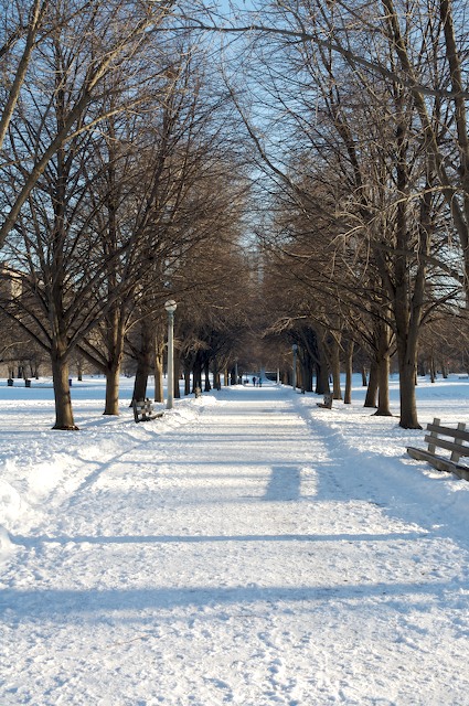 Day 17 - Snowy Path